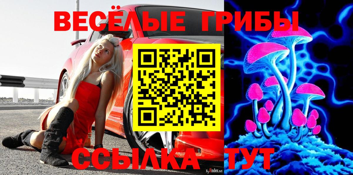 Балашов  Псилоцибиновые грибы мицелий  Вход с VPN 