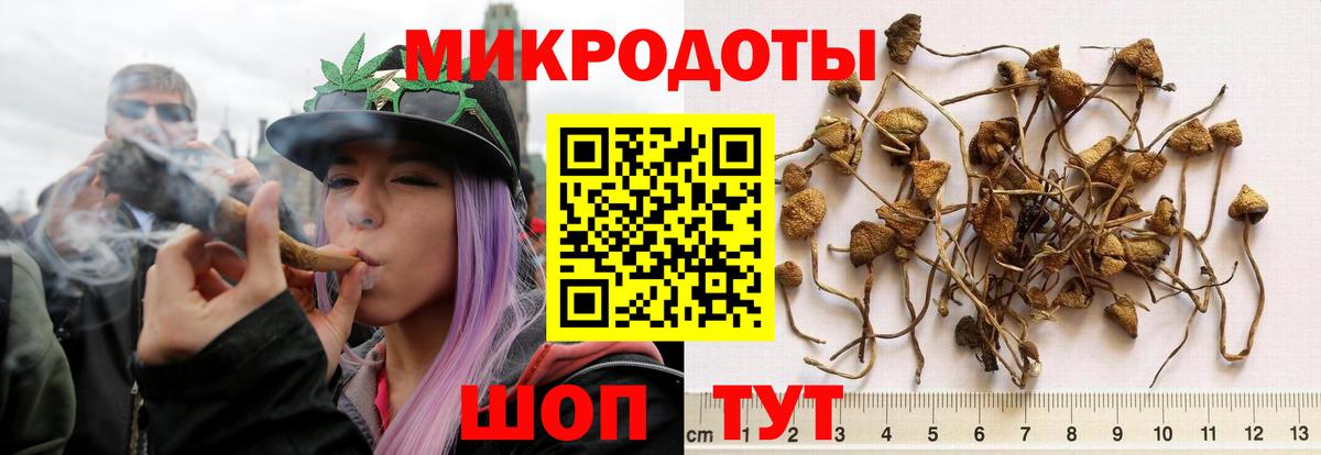 Галлюциногенные грибы прущие грибы Балашов